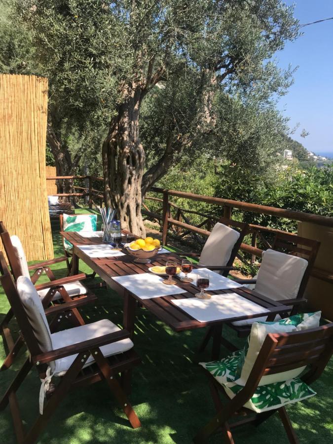 Maison Don Rafe' Positano Dış mekan fotoğraf